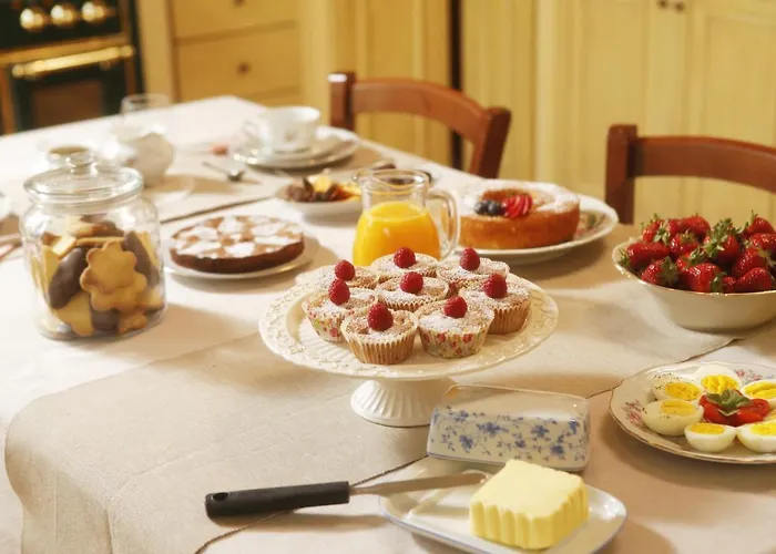 Belvedere 佐拉普雷多萨