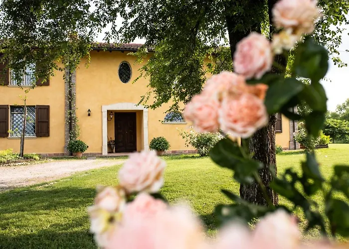 Belvedere 佐拉普雷多萨