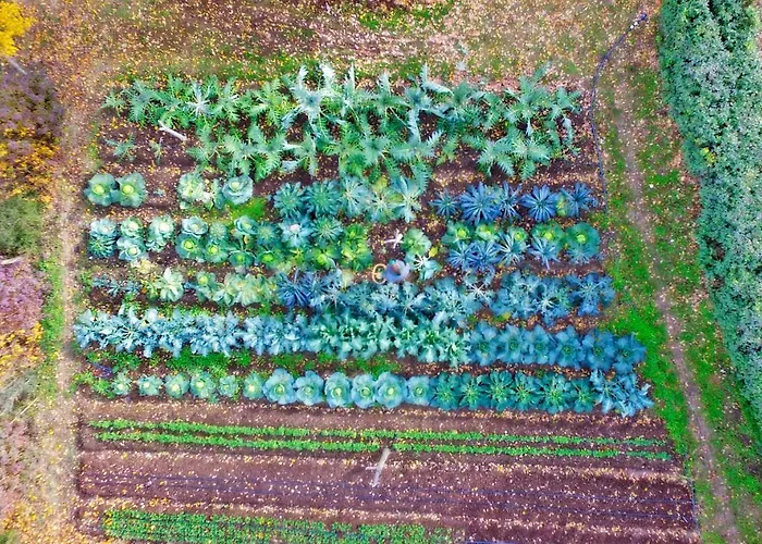 Belvedere 佐拉普雷多萨